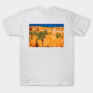 Bryce Canyon National Park T-Shirt